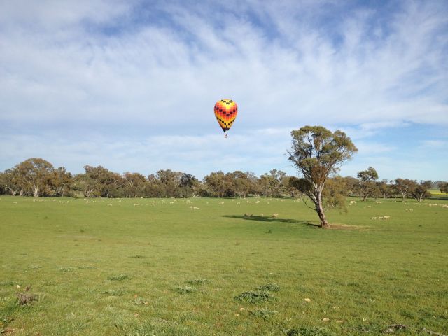 A very Australian country scene