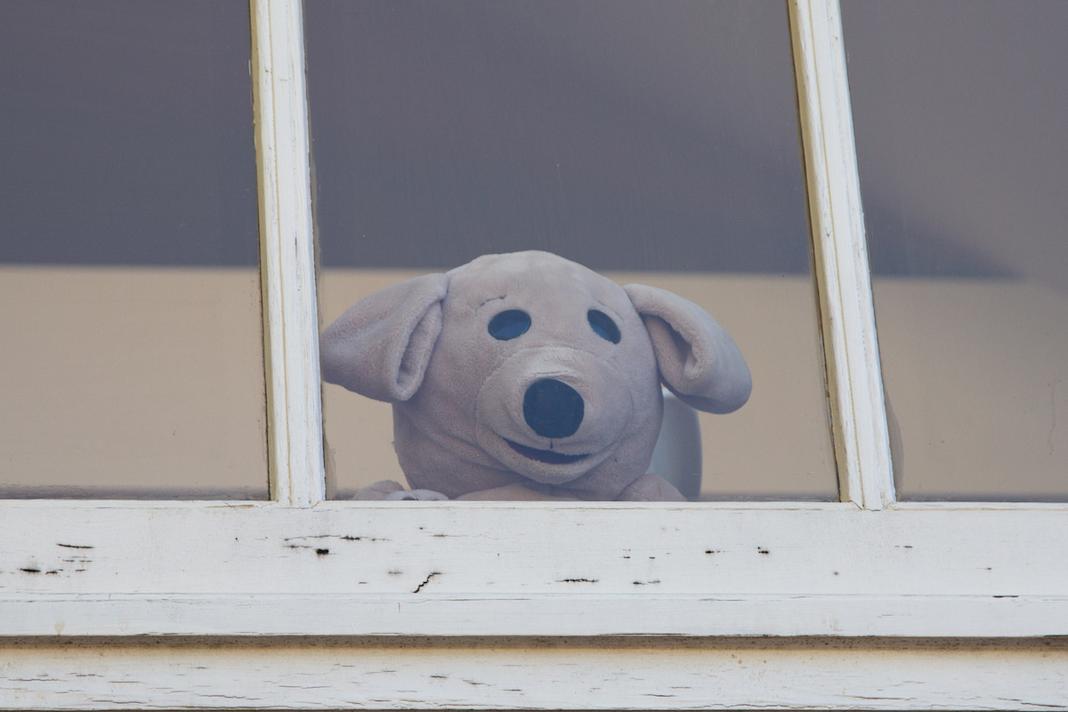 2020-04-untitled shoot-00001